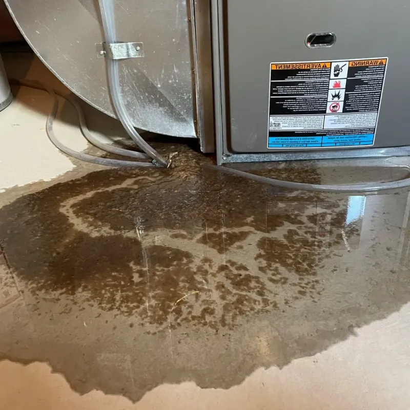 Pipe Burst and Leak Restoration in Gorham, ME